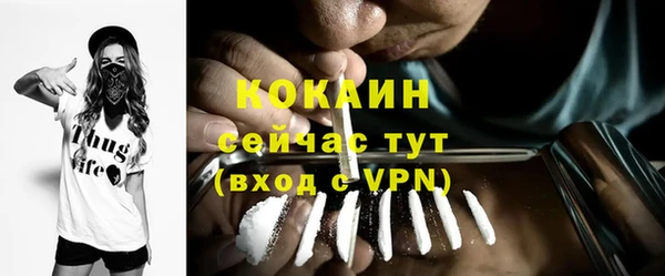 гидра Бронницы