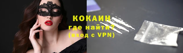 гидра Бронницы