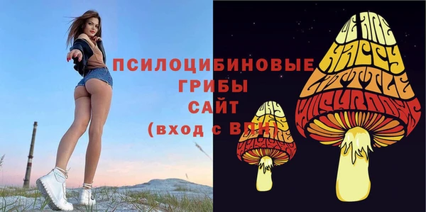бутик Богородск