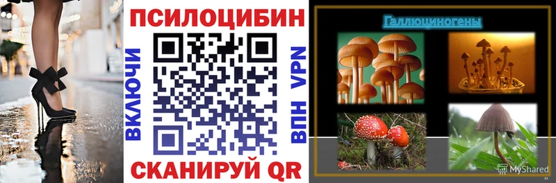 Галлюциногенные грибы Cubensis  Махачкала 